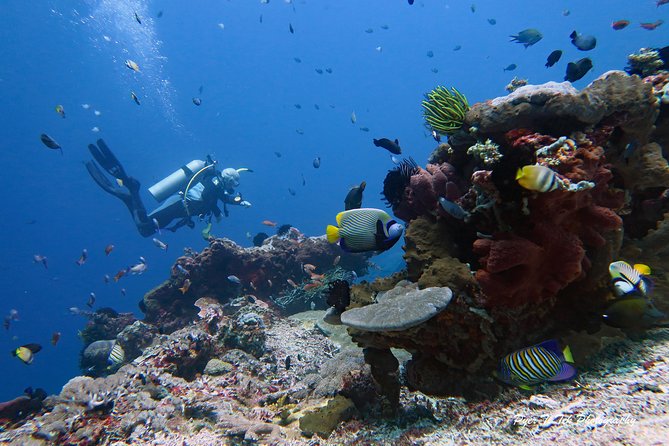 Nusa Penida Day Trip for 3 dives - Safety, Gear, and the Team That Runs the Show