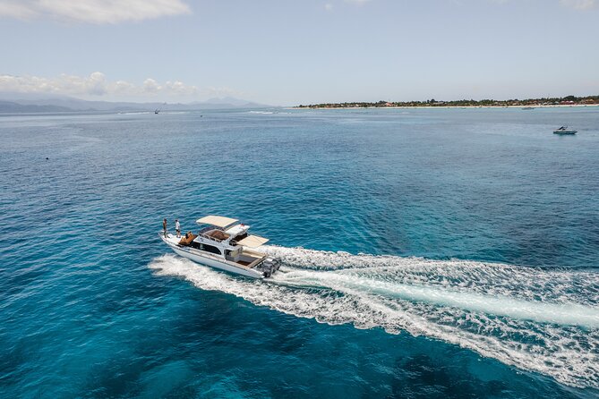 Nusa Penida Full Day Tour by Riki J Yacht 13 meters - SD Point snorkeling: drift currents, turtles, and sea life