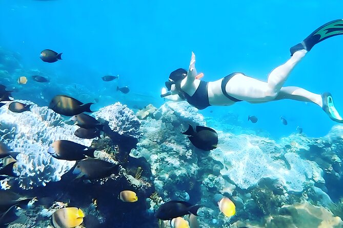 Nusa Penida Island Beach Tour With Snorkeling - Departure From Bali Island - Why Nusa Penida works as a one-day trip from Bali
