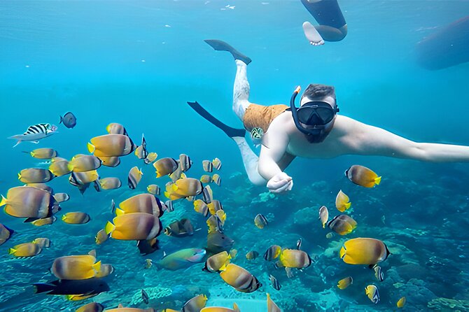 Nusa Penida Island Beach Tour With Snorkeling - Departure From Bali Island - Lunch and rest stops: what you’ll eat and why it matters
