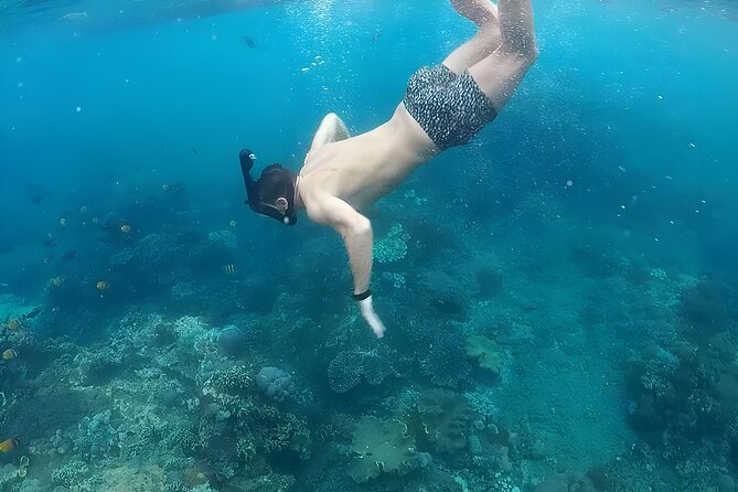 Nusa Penida Island Beach Tour With Snorkeling - Departure From Bali Island - Price, value, and who this $120 tour suits best