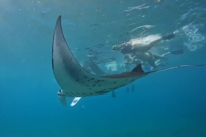 Nusa Penida Land Tour and 4 Points Snorkeling with Manta - Key highlights at a glance