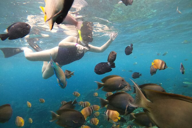 Nusa Penida Land Tour and 4 Points Snorkeling with Manta - Lunch and the pacing that keeps the day from feeling chaotic