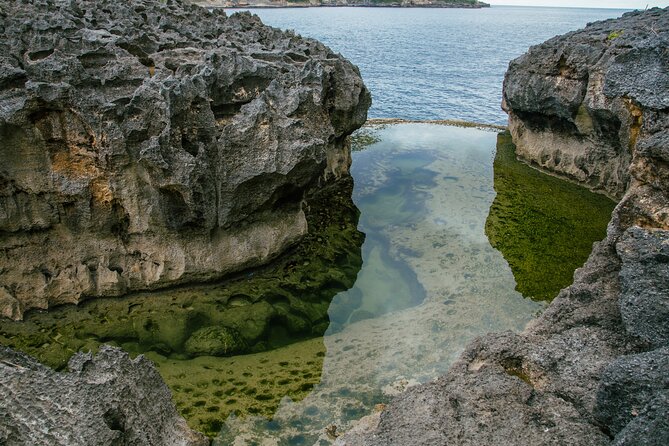 Nusa Penida One Day Trip to Instagrammable Spot by Penidago - Kelingking Beach, Built for the Cliff-View Show