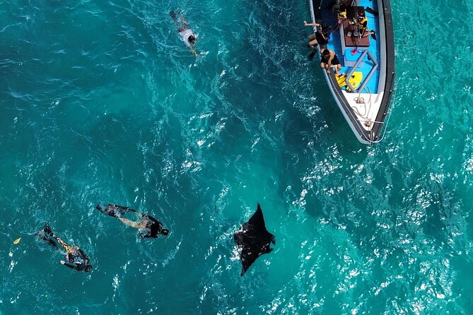 Nusa Penida Private Snorkeling and West Tour Start from Bali - Key things I’d pay attention to