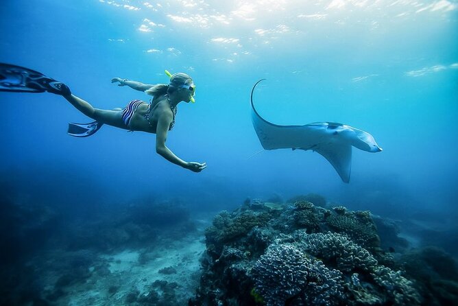 Nusa Penida Private Snorkeling and West Tour Start from Bali - From Seminyak to Sanur Harbour: how this day starts