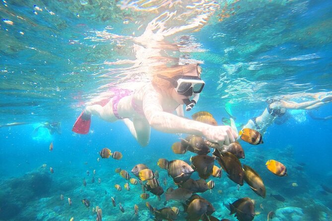 Nusa Penida Private Snorkeling and West Tour Start from Bali - Wall Cliff stop at Pasih Uug Beach or Broken Beach