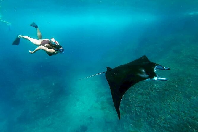 Nusa Penida Snorkeling 3 Point with Manta Bay & Land Tour - Manta Bay Snorkeling: What Three Stops Really Mean