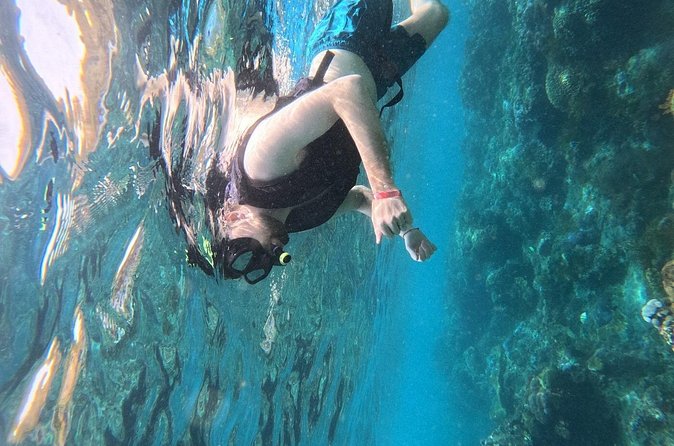 Nusa Penida Snorkeling at Manta Bay and Land Tour (inclusive) - Manta Bay snorkeling plus Gamat Bay and Wall Point