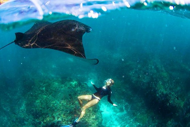 Nusa Penida Snorkeling & Kelingking Tour - Key points before you go