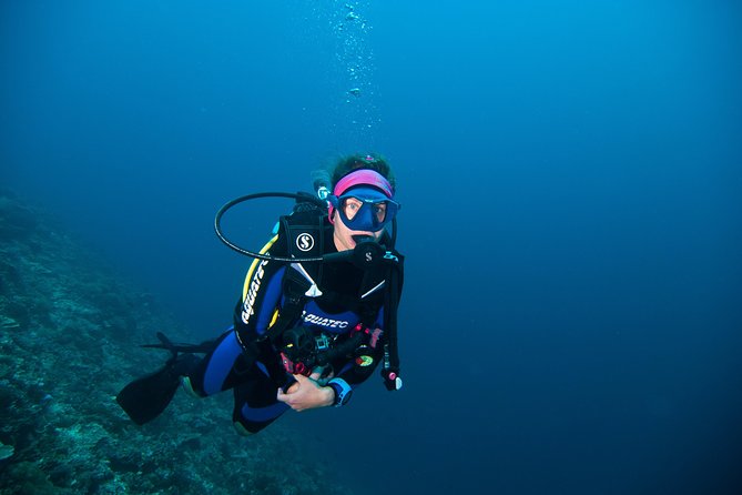 Nusa Penida Three Dives Trip for Certified Divers - Lunch and Surface Interval: The Pace That Helps You Feel Good for Session Three