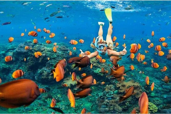 Nusa Penida Trip with Snorkeling all-Inclusive - Key things to know before you go