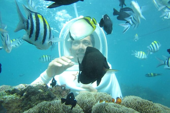 Nusa Penida Trip with Snorkeling all-Inclusive - Getting from Bali to Nusa Penida with fewer moving parts