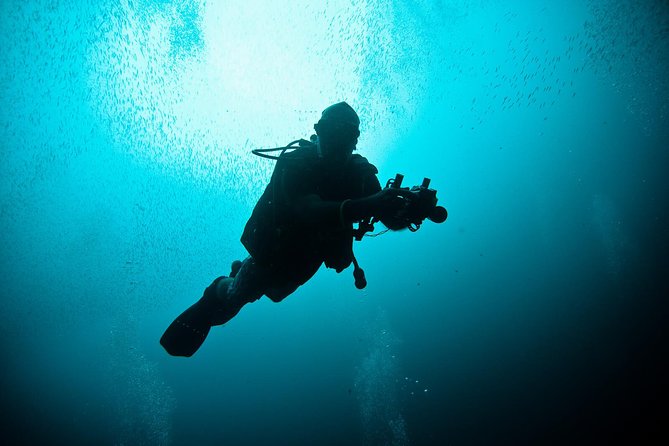 Nusa Penida Two Dives Trip for Certified Divers - Key Things I’d Watch for on This Nusa Penida Trip