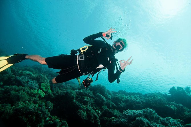 Nusa Penida Two Dives Trip for Certified Divers - Small-group guidance that keeps the pace fair