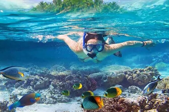 Nusa Penida West trip with snorkeling at 3 spot with Free Meals - Key highlights you’ll actually care about