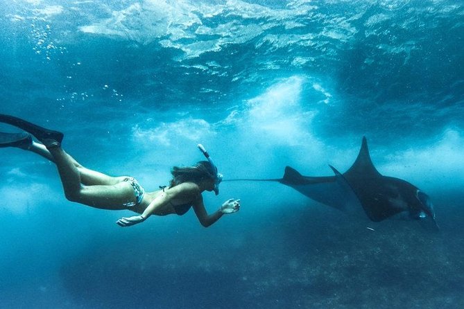 Nusa Penida West trip with snorkeling at 3 spot with Free Meals - Morning snorkeling: Manta Point, Gamat Bay, and Crystal Bay