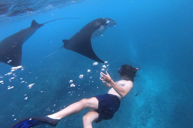 One Day Snorkeling Trip & West Tour Nusa Penida by Penidago - Lunch at 11:30, then west Penida viewpoints right after