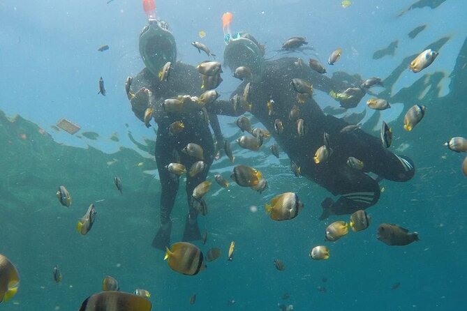 One Day Snorkeling Trip & West Tour Nusa Penida by Penidago - Angel Billabong and Broken Beach (Pasih Uug): the classic west Penida combo