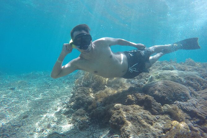 One Day Snorkeling Trip & West Tour Nusa Penida by Penidago - What the guides get right, and what to watch for on pickup timing