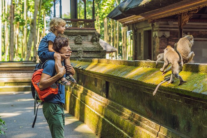 One Day Tour Ubud With Private Guide - Key highlights to watch for
