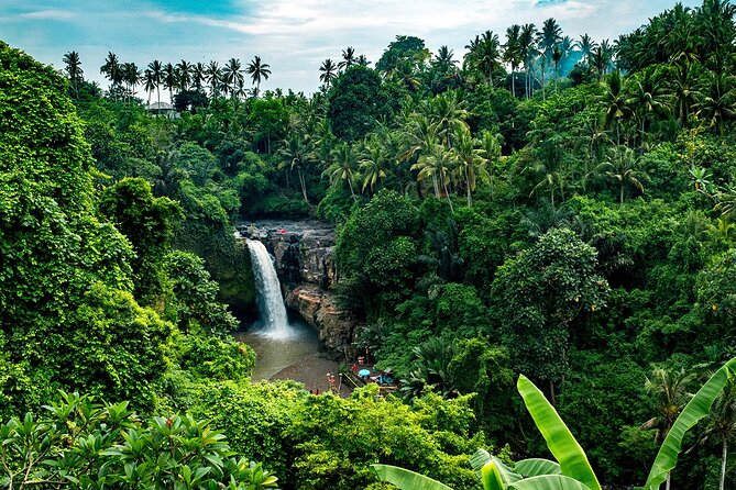 One Day Tour Ubud With Private Guide - Tea, coffee plantation views, and the small learning moments you will remember