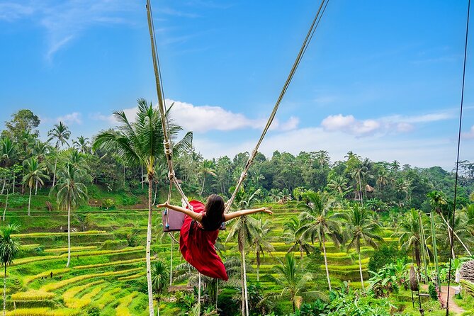 One Day Tour Ubud With Private Guide - Who this private Ubud tour fits best