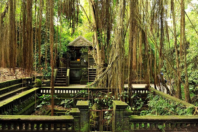 One Day Tour Ubud With Private Guide - Tirta Empul purification ritual, respect, and why the guide matters here