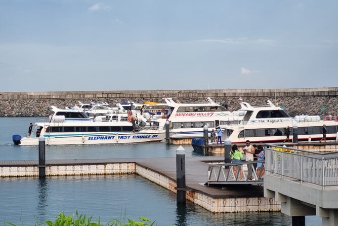 One-way Ticket Fast Boat from Sanur Bali or Nusa Penida - Departure times that let you build a real plan on Nusa Penida