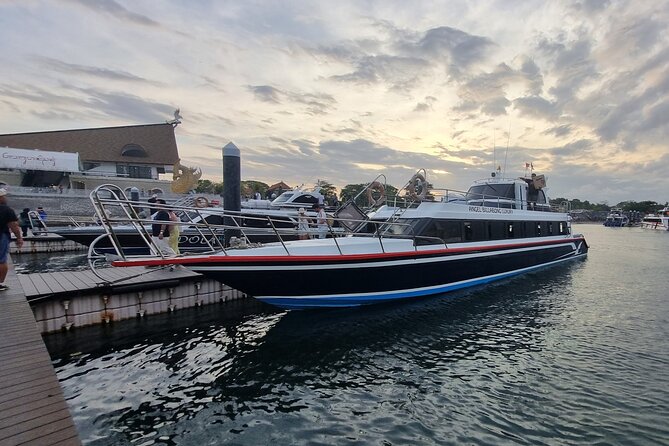 One-way Ticket Fast Boat from Sanur Bali or Nusa Penida - Sanur Harbor departure: how to time your day