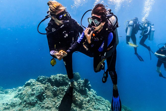 Open Water Course in Nusa Lembongan - Get Certified on remote island (next Bali) - The training center setup: why Wi-Fi, lockers, and bathrooms matter