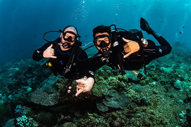 Open Water Course in Tulamben - Get Certified in Bali - Equipment, pick-up, and what you should plan to bring