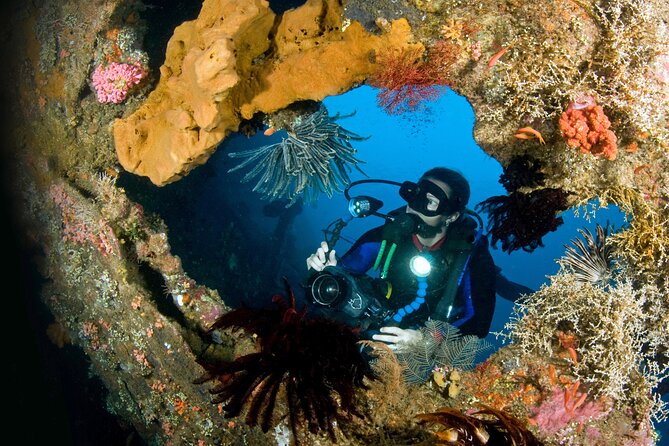 PADI Open water Course in Tulamben - Get certified & dive anywhere in the world - Day 1 in the Pool: Confined-Water Drills That Build Confidence