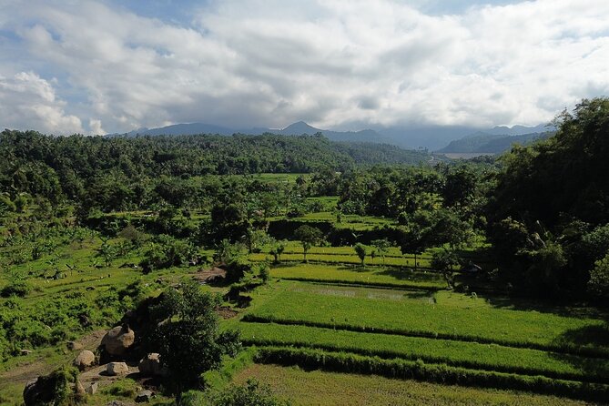 Panorama Walking Tour and Culture, West Lombok - Gula aren (palm sugar) benefits you can taste and remember