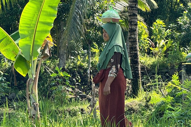 Panorama Walking Tour and Culture, West Lombok - Price and value: what $73 really covers