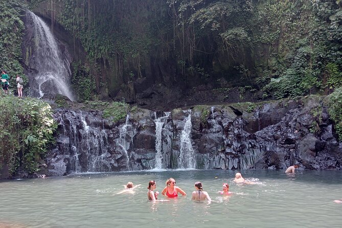 Penglipuran Village Waterfall Swing Private Guided Tour - Private pickup that makes the whole day easier
