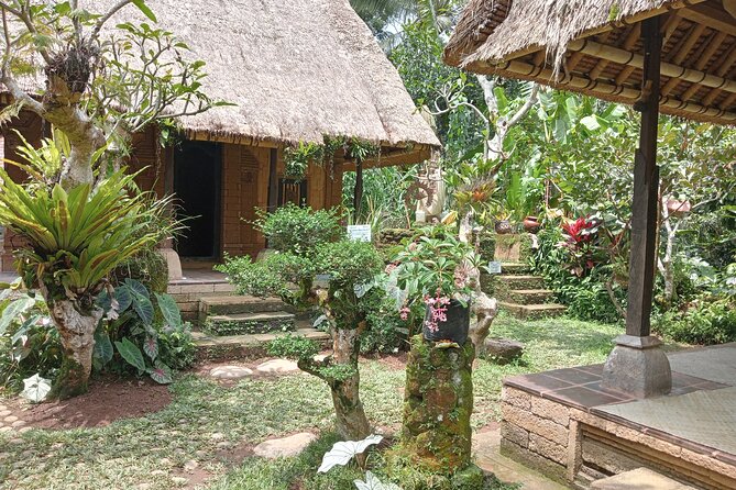 Penglipuran Village Waterfall Swing Private Guided Tour - Kemenuh Monkey River: nature time along the Petanu River