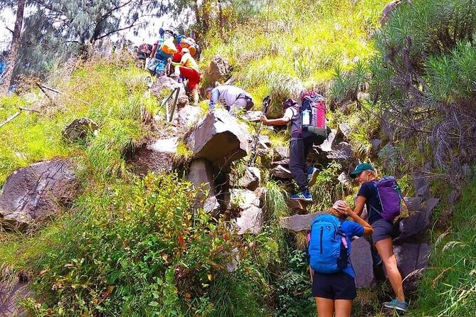 Popular Rinjani Trekking Tour Service To Summit For 2 Days Via Sembalun Trail - Food and Water: Full Board on the Mountain