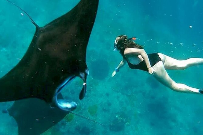 Private All Inclusive Nusa Penida Snorkeling and Tour - Key highlights you should care about