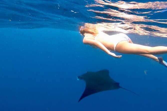 Private All Inclusive Nusa Penida Snorkeling and Tour - Getting to Nusa Penida from Kuta, without losing your morning