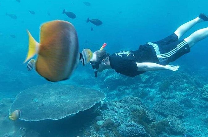 Private All Inclusive Nusa Penida Snorkeling and Tour - Kelingking Beach and the T-Rex cliff: worth it, but plan your legs