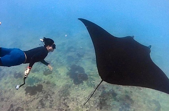 Private All Inclusive Nusa Penida Snorkeling and Tour - How the day runs: 10 hours that usually feel efficient
