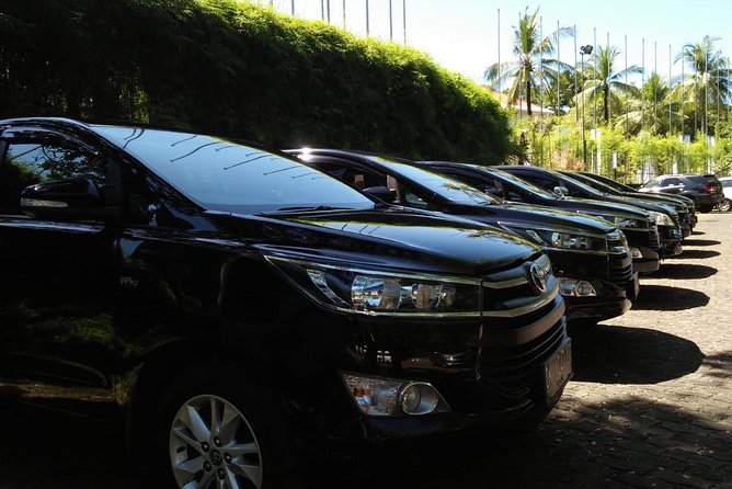 Private Bali Airport Arrival Transfer: Airport to Hotel (Arrival) - Finding your driver: name sign, meet and greet, and WhatsApp