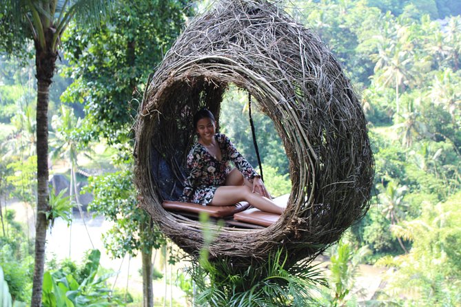 Private Bali Car Charter with Driver up to 6 People - Price and value for a 10-hour charter, up to 6 people