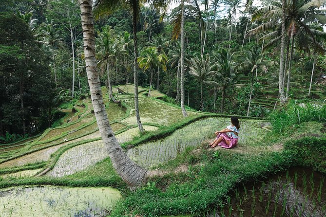 Private Bali Car Charter with Driver up to 6 People - The 10-hour route idea, built around beaches, cliffs, art stops, temples, and rice terraces