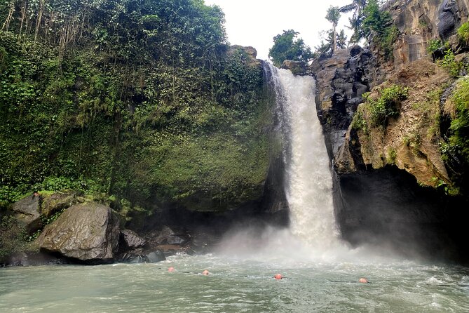 Private Bali Custom Tour – Full Day with English-Speaking Driver - The Real Value: Private Means Your Day, Not Someone Else’s