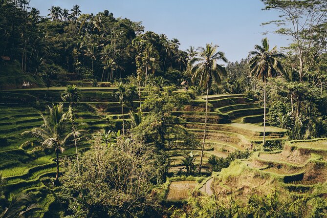 Private Bali Custom Tour – Full Day with English-Speaking Driver - Ubud and Central Bali Picks: Rice Terraces, Water Temples, and Cave Archaeology