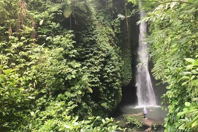 Private Bali Custom Tour – Full Day with English-Speaking Driver - Waterfall and Wildlife Variety: Ubud-to-Side Trips Without the Stress