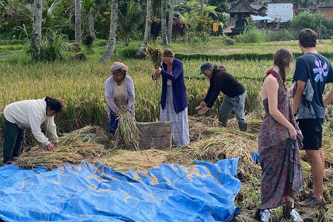 Private Bali Custom Tour – Full Day with English-Speaking Driver - Lake, Gates, and Twin Falls: Northern and West-Central Photo Stops