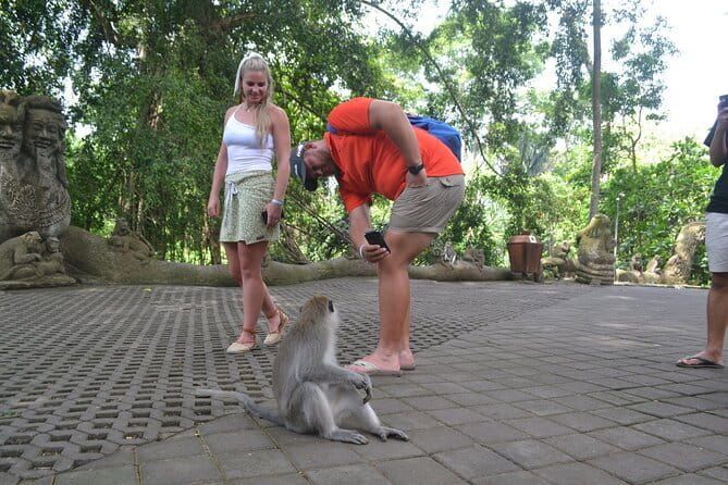 Private Bali Customized Tours - Kintamani Highland and Tanah Lot: viewpoints and a Bali sunset classic